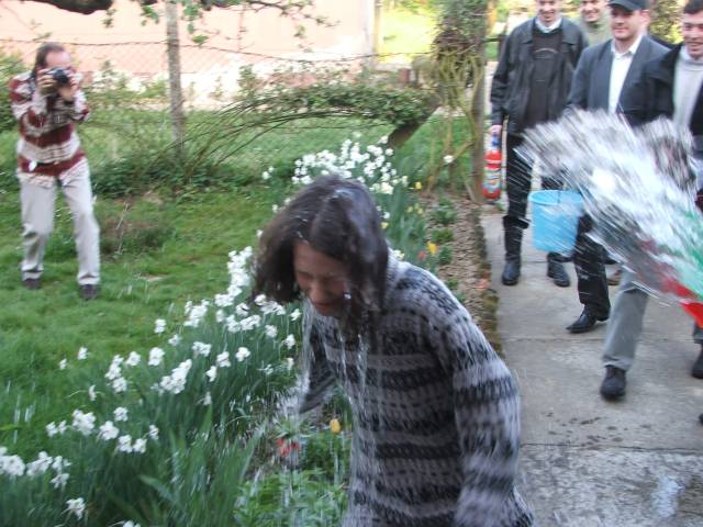 Csipcsa jellemzo fotos beallasa? Van aki nem ertekeli a sracoknak mi olyan vicces..
