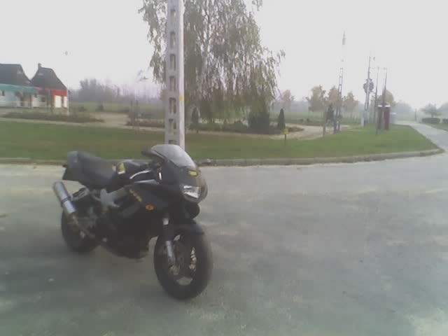 Gyekenyes parkol�j�ban: egy csak egyvalaki van a vid�ken