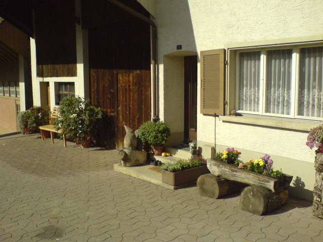 vissza 50 evvel